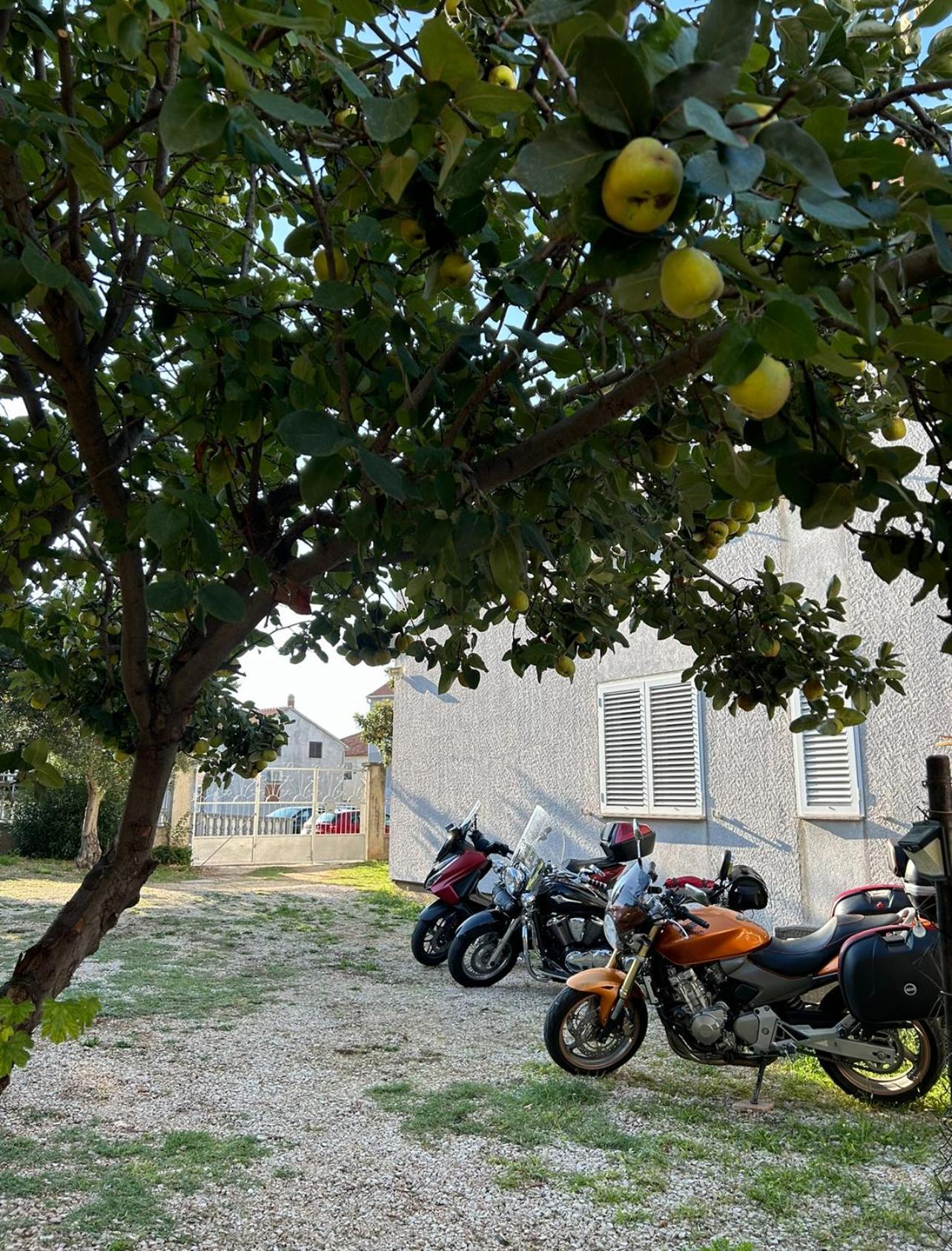 Villa Jadran Zadar Free Parking Sea View 外观 照片